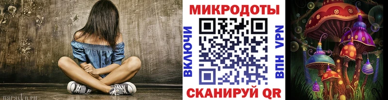 где продают   Жердевка  Галлюциногенные грибы GOLDEN TEACHER 